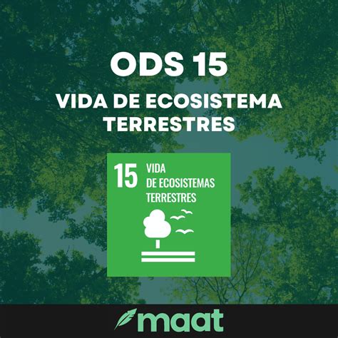 Significado Meta Y Acciones Del Ods 15 Vida Ecosistema Terrestres In 2024