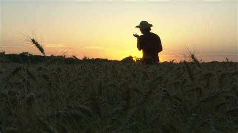 Farmer In Field At Sunrise Videos and HD Footage - Getty Images