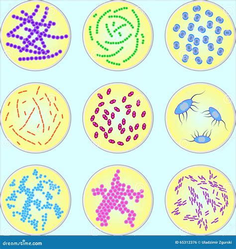 Types Of Bacteria Cartoon Vector | CartoonDealer.com #34700241