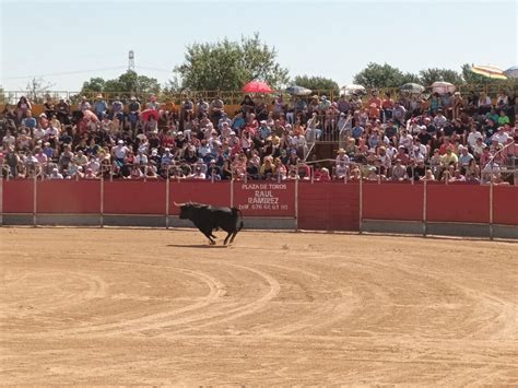 Este Fin De Semana Vuelven Los Toros A San Fernando De Henares Con