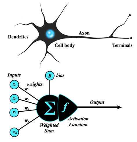 Deep Learning DL Questions And Answers In MRI