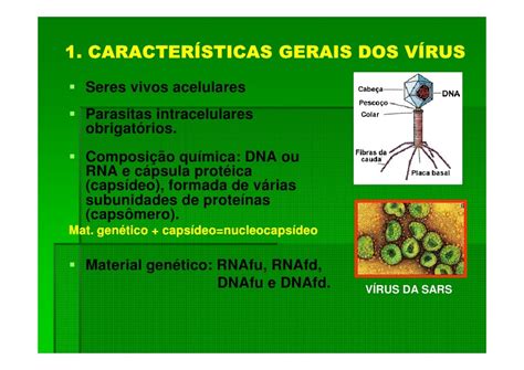 Caracteristicas Gerais Dos Vírus - 6