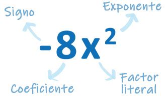 Qué es termino algebraico y 10 ejemplos Dudalia