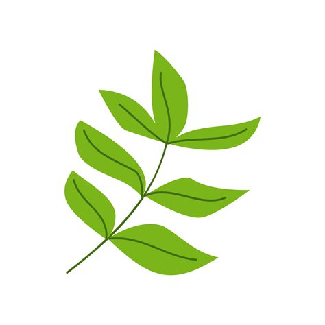 Simple Leaf Illustration For Nature Design Element Png