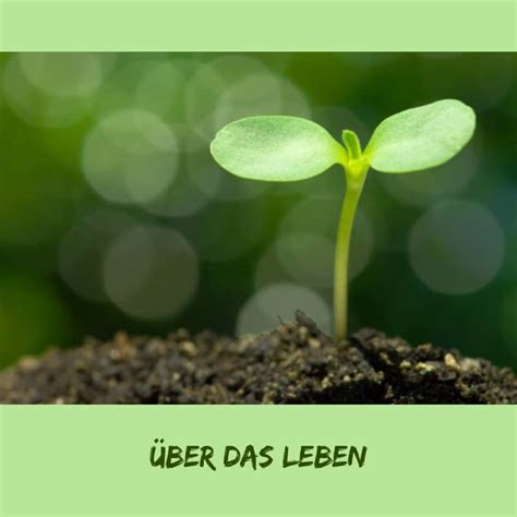 24 Inspirierende Zitate über Das Leben