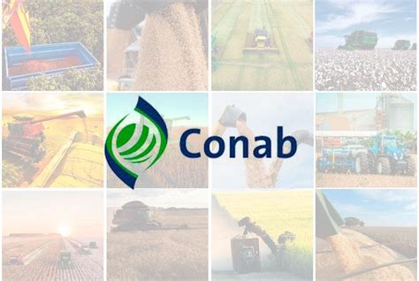 Conab prevê novo recorde na produção de grãos em 312 4 milhões de