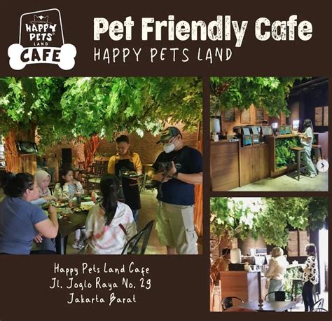 top pet  pet friendly cafes  restaurants  jakarta whats