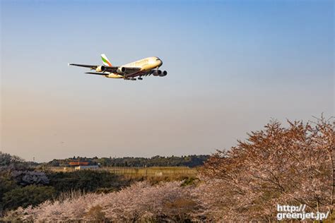 成田で飛行機～桜とエミレーツは手強い Mgt Greenjet 飛行機撮影記