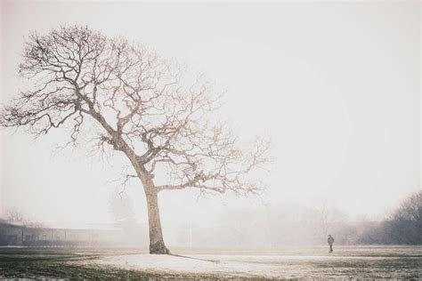 Bleak - Winter Landscape Photography Photograph by Debra Cox - Fine Art ...