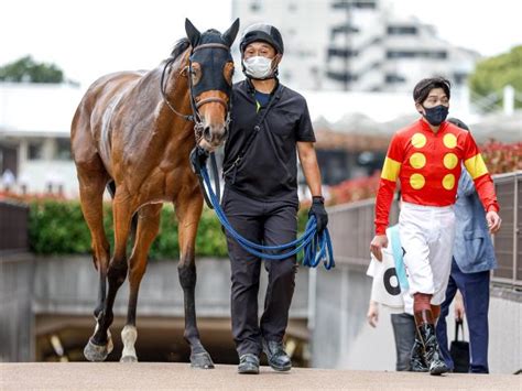 【メイクデビュー東京5rレース後コメント】ロッソランパンテ三浦皇成騎手ら 競馬ニュース Netkeiba