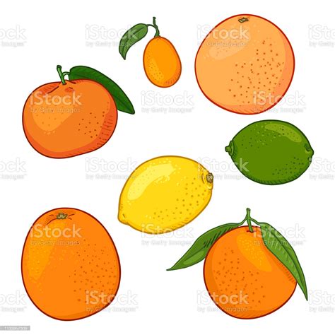 tafsir mimpi buah jeruk 7