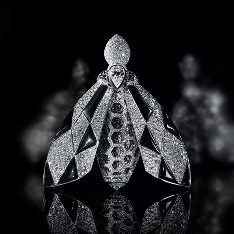 LES AQUA ALLEGORIA Boite Standard Petit Format – Collection de ...