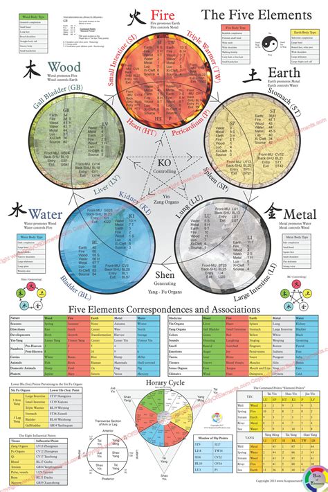 The Five Elements of Acupuncture Poster 24 X 36