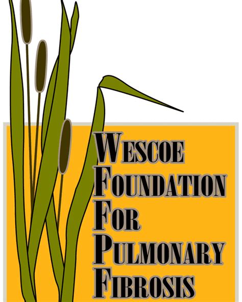 Have You Ever Wondered What Is The Meaning Of Wescoe Foundation Logo