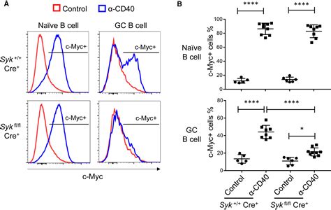 B Cell Receptor And Cd40 Signaling Are Rewired For Synergistic