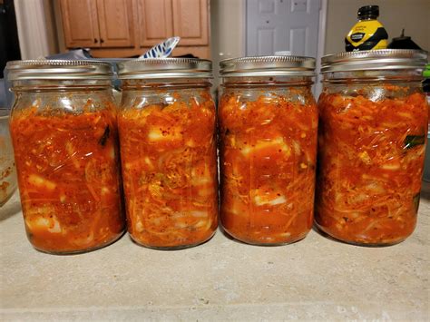 First time making kimchi : r/kimchi