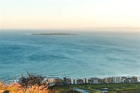 Signal Hill Sunrise HDRI • Poly Haven