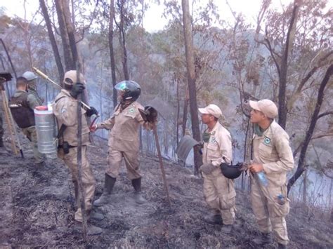 Venezuela Incendios Forestales Afectan Parques Nacionales Canaima Y