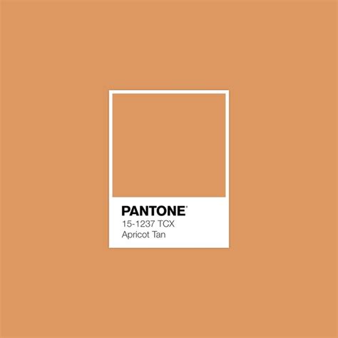 Pantone Tcx Apricot Tan Color In Pantone Pantone Color