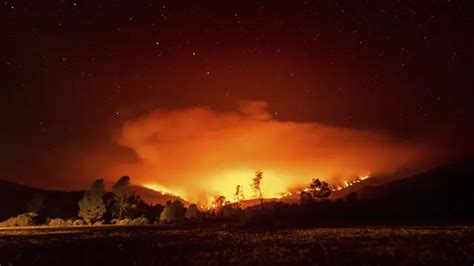 Penyebab Kebakaran Hutan Ketahui Dampaknya Bagi Lingkungan Hot