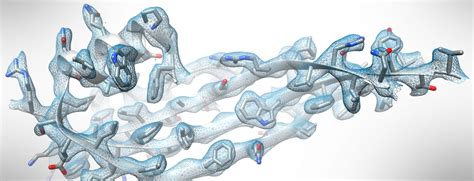 Center For Structural Biology The Huck Institutes