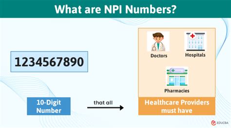 National Provider Identifier Npi Everything You Must Know