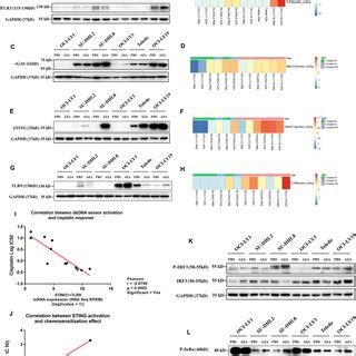 Azacytidine Induces Chemosensitization Mediated By The Cgas Sting