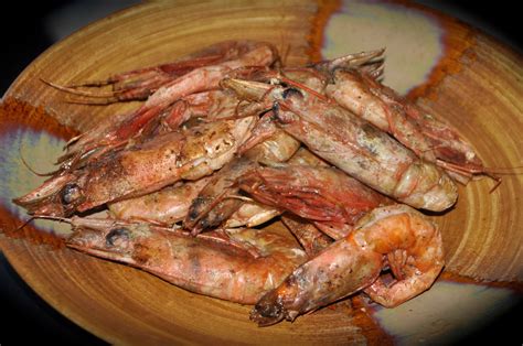 Royal Red Shrimp