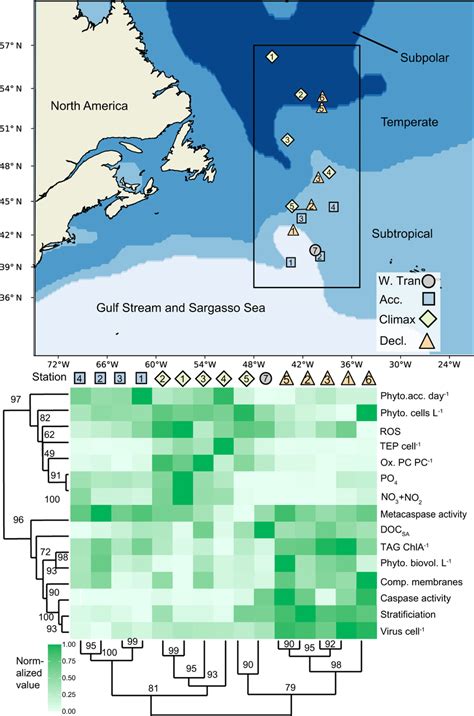 Comparison Of Biomarker Signatures Between Stations And Bloom Phases In