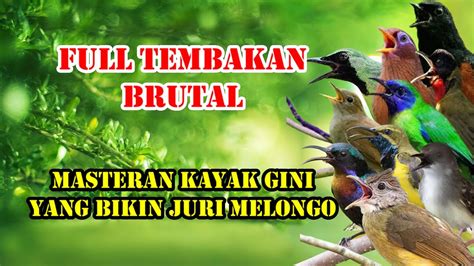 FULL TEMBAKAN BRUTAL MASTERAN PALING DI SUKAI JURI YouTube