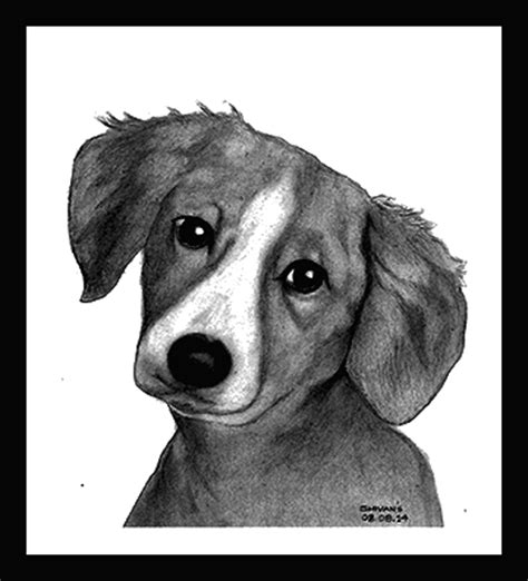 Cute Puppy Sketch