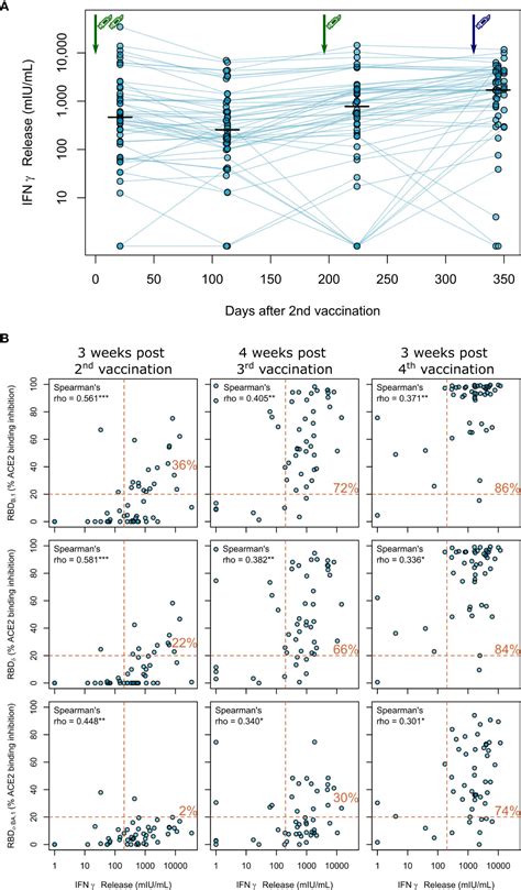 Frontiers Longitudinal Cellular And Humoral Immune Responses After