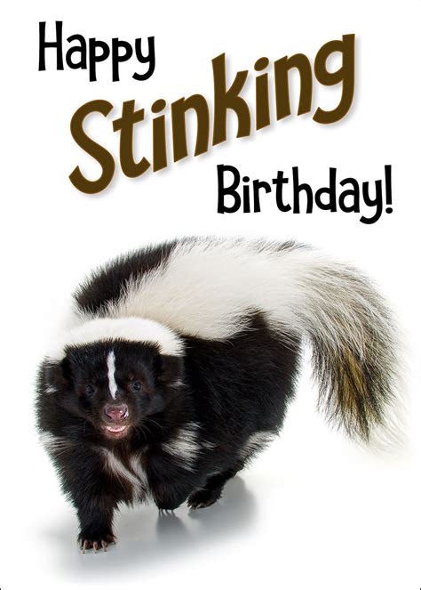 Striped Skunk Birthday Card – Curious Critters