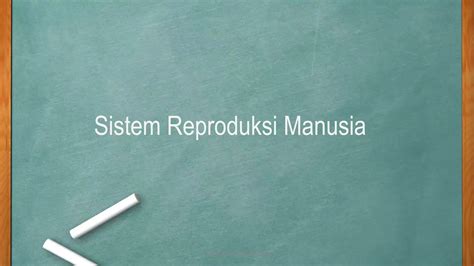 Sistem Reproduksi Manusia Powerpoint Ppt