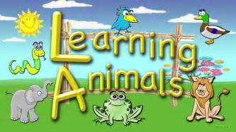 For Toddlers Learning Animals An Educational Video For Preschoolers