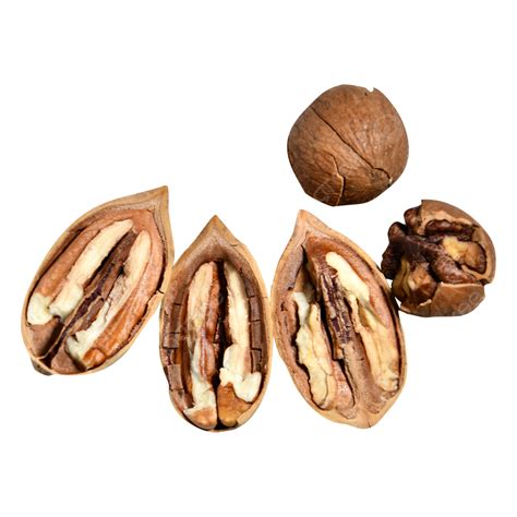 Pecans And Pecans Showing The Flesh Delicious Snacks Reveal The