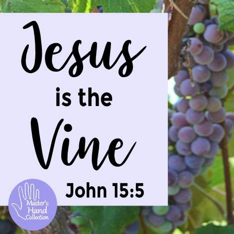 Jesus is the Vine A John 15:5 Devotional - Master's Hand Collection