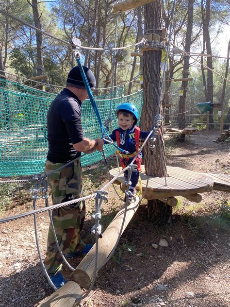 Accrobranche Au Castellet Auriol Charleval Le Royaume Des Arbres