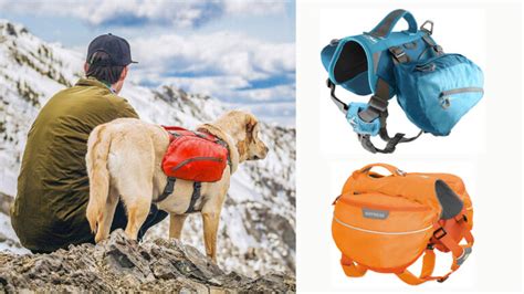 Mejores Mochilas Para Perros Un Compa Ero Explorador Perros