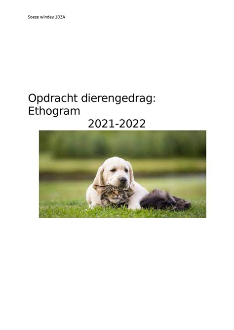 Opdracht Dierengedrag Endogram Van Hond Opdracht Dierengedrag