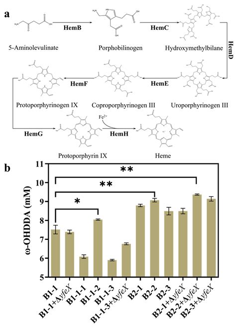 Molecules Free Full Text Improved Bioproduction Of The Nylon 12