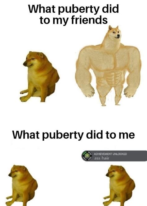 What Puberty Did To My Friends What Puberty Did To Me Ass Hair IFunny