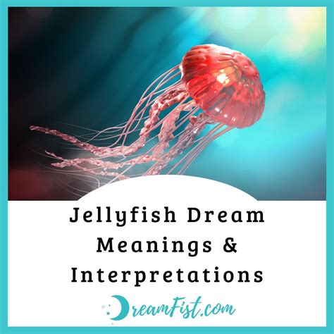 Jellyfish Dream Meanings Interpretations Dreamfist