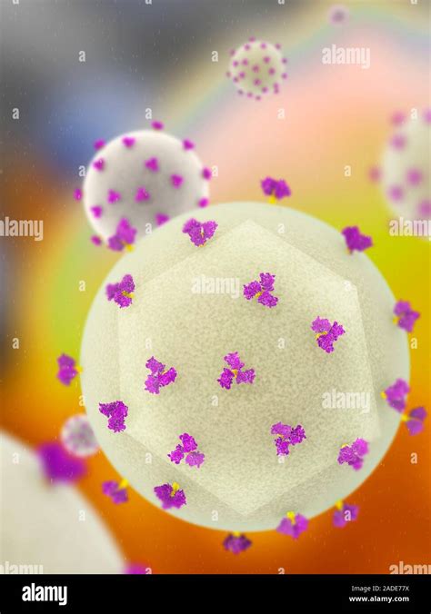 Illustration Of Htlv 1 Virus Particles Virions Human T Lymphotropic