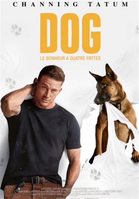 Où regarder Dog en streaming complet et légal