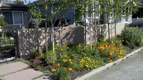 Expert Curb Appeal Landscaping Company Transforming Homes Into Outdoor