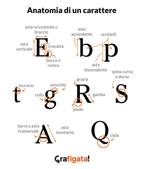 Cos'è un font? La guida completa per designer alla tipografia