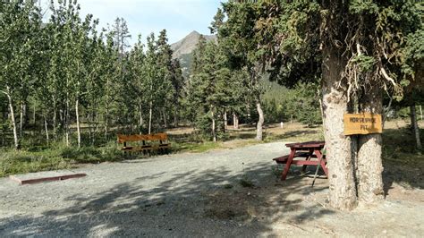 Campground Review Cottonwood Rv Park Destruction Bay Yukon