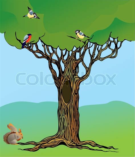 Squirrel In Tree Drawing at GetDrawings | Free download