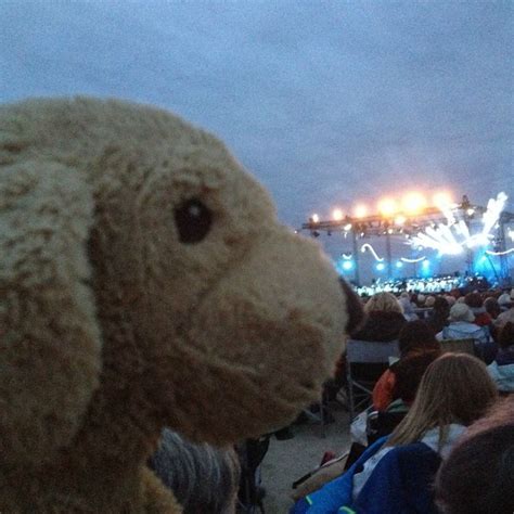 Doudou adore les concerts du Violon sur le sable à Royan en Juillet